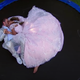 <i>The Bachelorette</i>'s Tayshia Adams Is Breaking Hearts, Taking Names (and Wedding Photos)